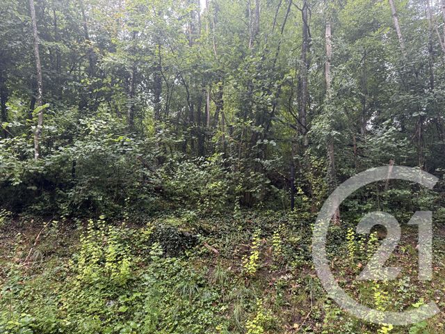 terrain à vendre - 2400.0 m2 - LA TOUR - 74 - RHONE-ALPES - Century 21 Patrimoine Rochois
